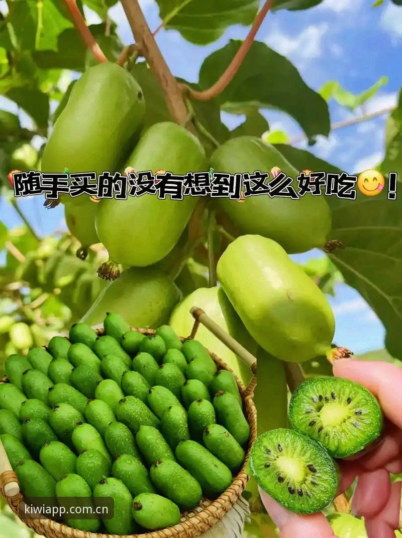 IQIYISports网页登录 奇异果体育平台登录机制深度剖析:IQIYISports网页登录的全面解析